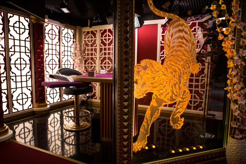 dragon tiger online live casino studio