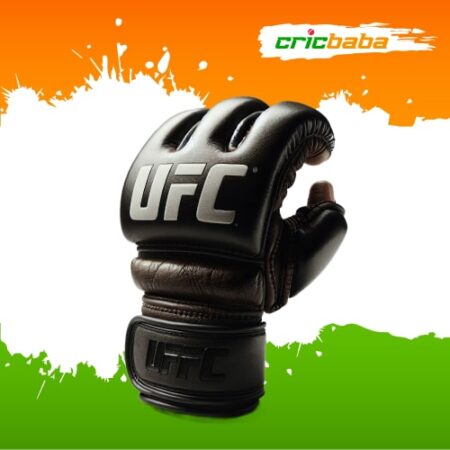 UFC Betting Sites in India: All You Need to Know