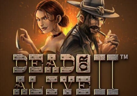 Dead or Alive 2 Slot Review