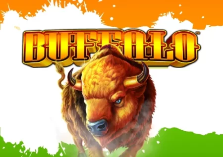 Buffalo Slot Review